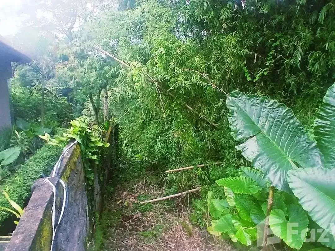 Land for sale in Kediri, Bali - Image 5 of 8