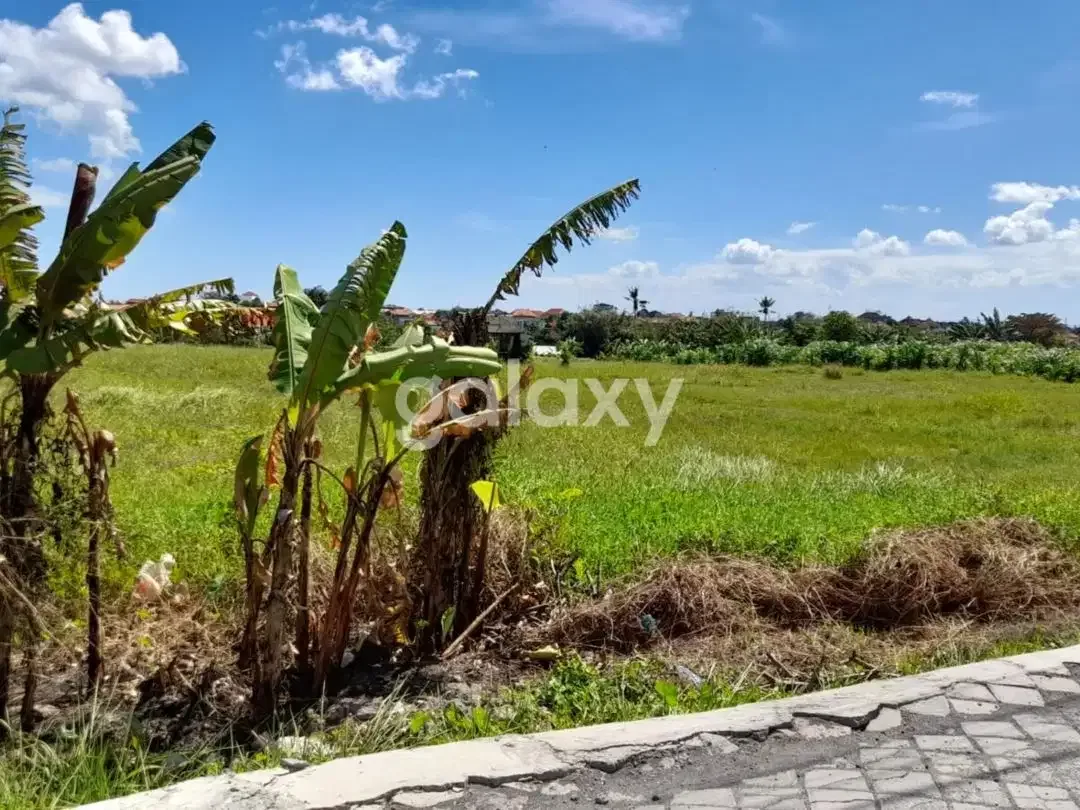 TANAH VIEW SAWAH DI CANGGU BADUNG, BALI - Image 2 of 6
