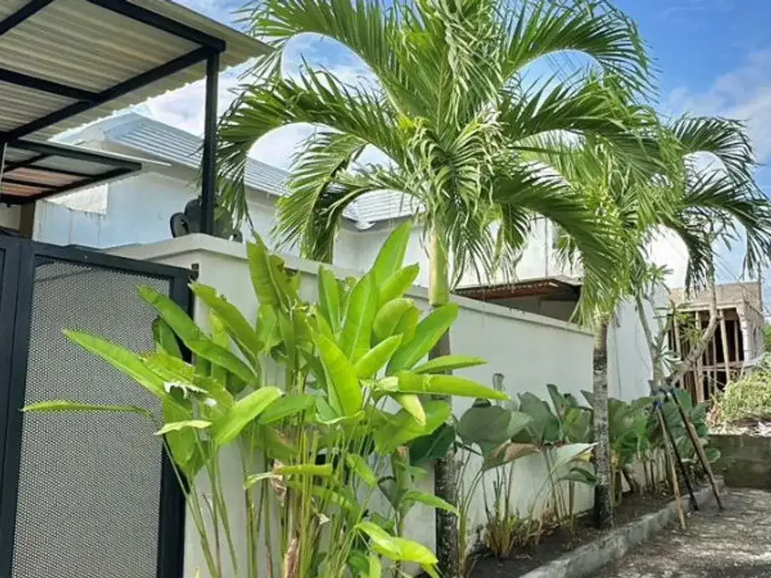 VILLA FOR RENT AT UNGASAN AREA AND VILLA COMPLEX - Image 5 of 5