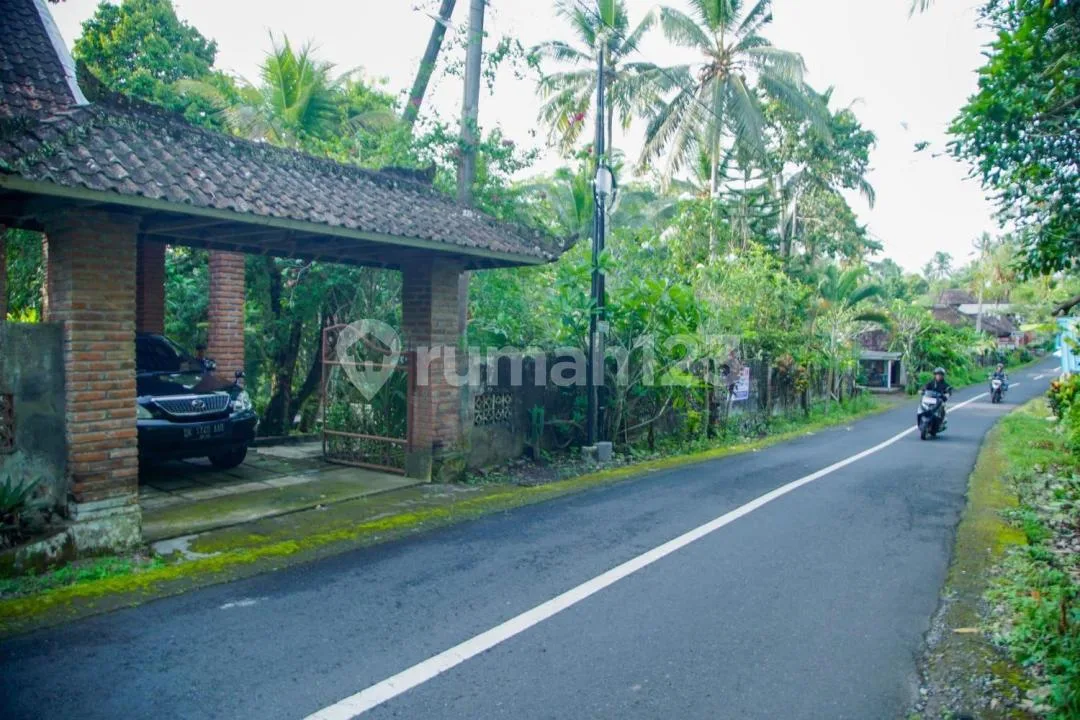 Rumah Vila Super Luas Suasan Tenang Bajera Tabanan Bali - Image 4 of 4