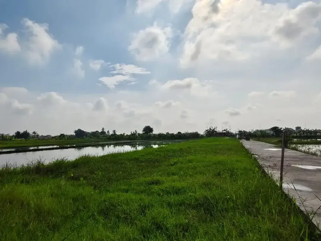 Pink Zone Land Close to Seseh Beach, 29 Year Leasehold Bali - Image 3 of 6