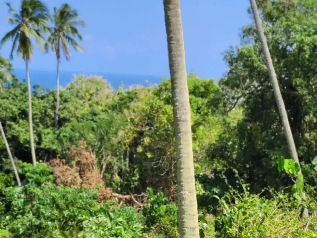 DIJUAL TANAH LUAS – BALIAN BEACH, TABANAN - Image 8 of 10