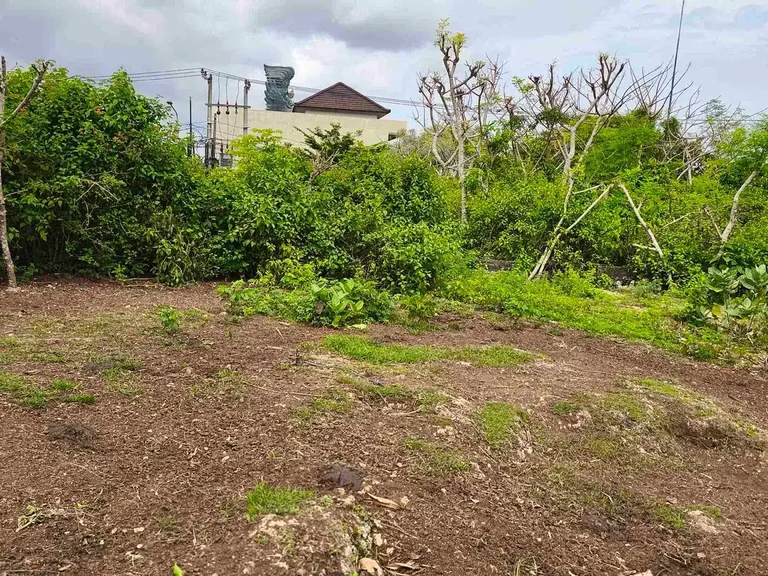 dijual tanah 5 are  harga 500 juta per are Kawasan GWK ungasan Kuta Selatan Badung Bali - Image 6 of 10