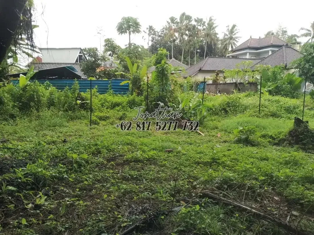 Tanah 300 m2 Zona Kuning Singakerta Ubud Siap Bangun - Image 4 of 6