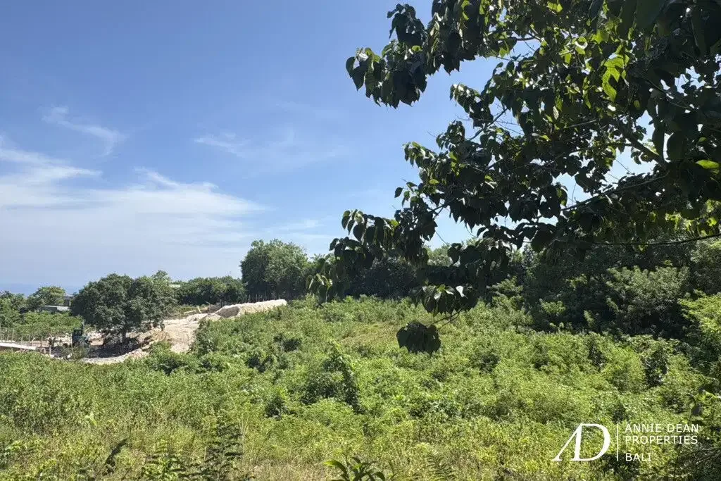 FREEHOLD LAND IN PECATU WITH OCEAN VIEW - PRIME FOR VILLA DEVELOPMENT - Image 6 of 6