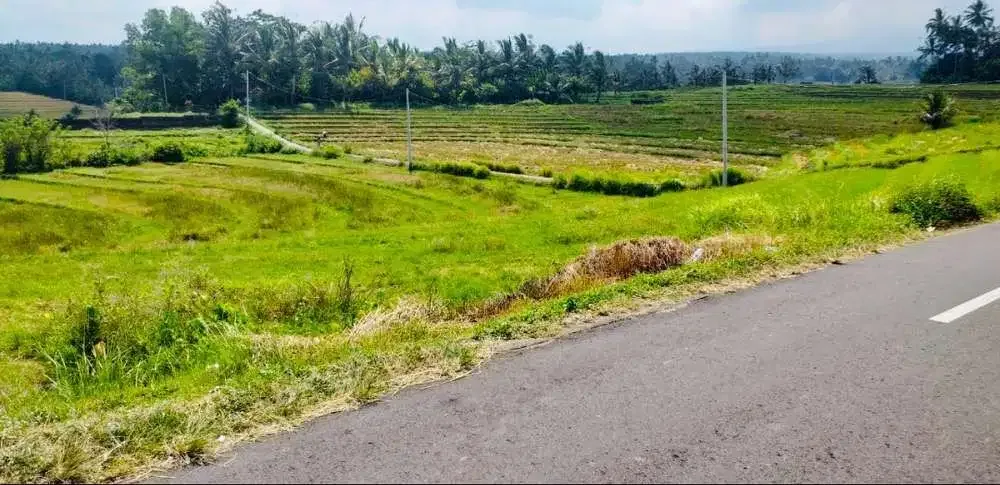 TANAH STRATEGIS VIEW SAWAH TABANAN - Image 8 of 10
