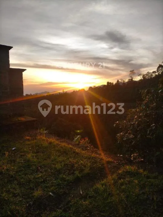 Tanah 6,5 Ha di Kawasan Wisata Baru Turyapada Tower, Bali Utara - Image 4 of 4