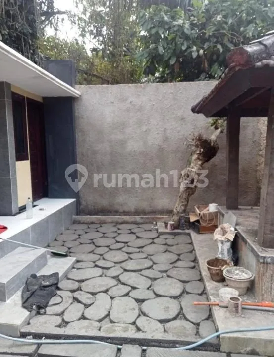 Ready Rumah Sewa Kosongan Daerah Tabanan Deket Taman Kupu Kupu Bangunan Baru - Image 3 of 4