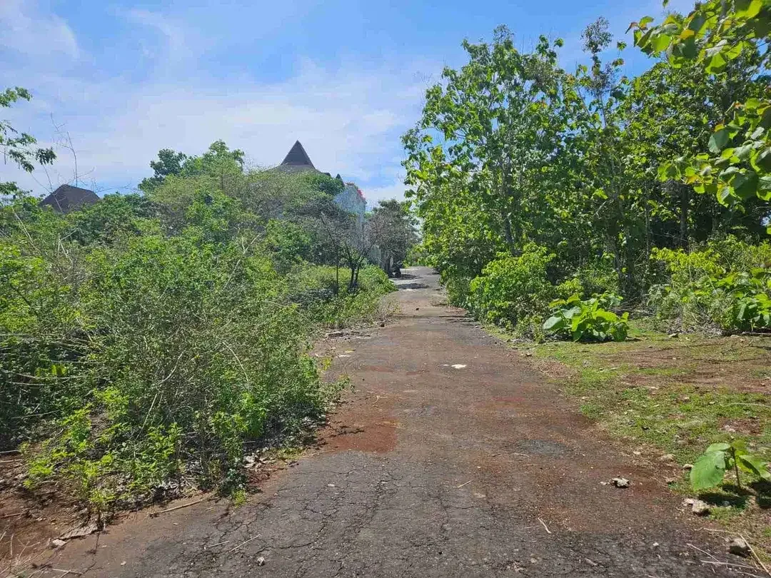Tanah 2 Hektar Dekat Pantai Balangan ITR Akomodasi Wisata - Image 9 of 10