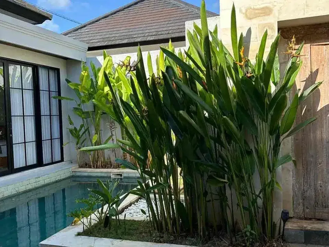 For Sale
Villas purigading jimbaran area near from school ,supermarket , gwk - Image 2 of 6