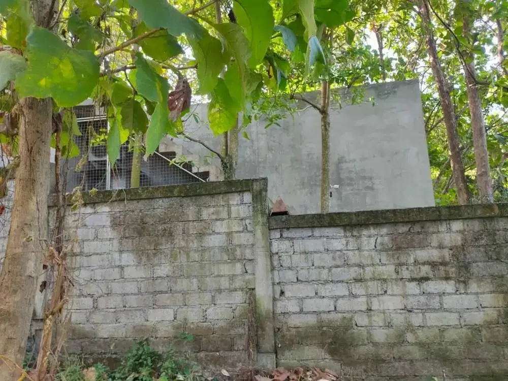 DIJUAL TANAH PINGGIR SUNGAI KAWASAN VILLA - Image 10 of 10