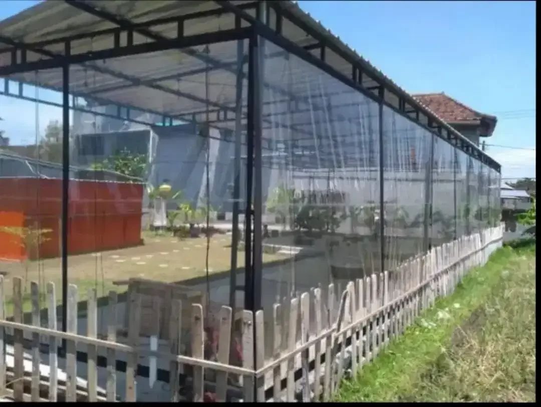 krey plastik tranparan - Image 6 of 6