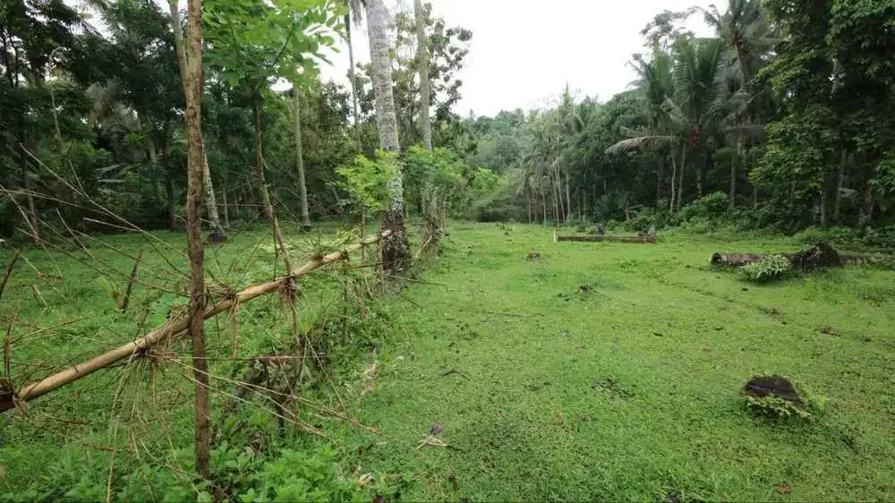 DIJUAL TANAH KEBUN COCOK UNTUK PERUMAHAN - Image 3 of 7