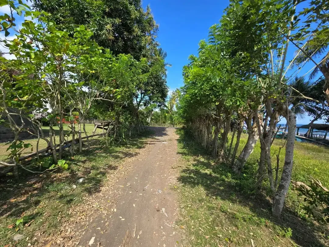 Dijual tanah kecil los pantai di bali - Image 10 of 10