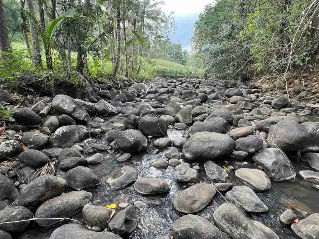 jual tanah kebun view sawah los sungai di tabanan bali - Image 1 of 10