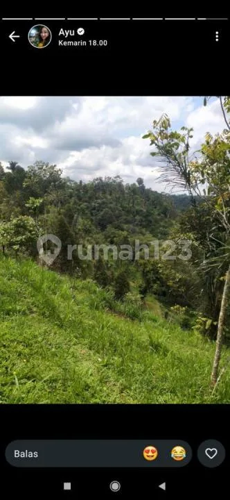 Tanah View Lembah Sungai Hutan Airterjun untuk Resort - Image 3 of 4