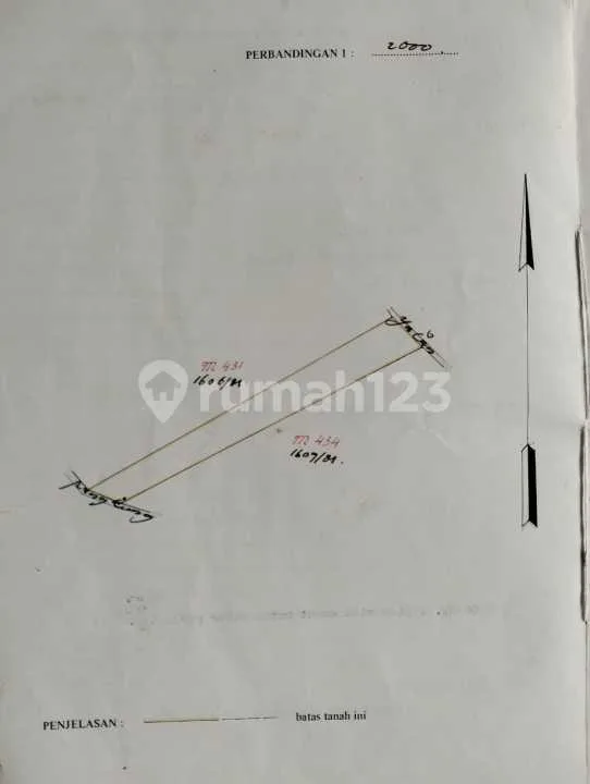 Kebun Produktif 54 Are Mundeh Tabanan Jalan 6 Meter Los Sungai - Image 3 of 4