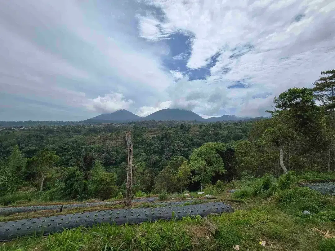 Dijual tanah datar landai view gunung dan lembah di tabanan bali - Image 9 of 10