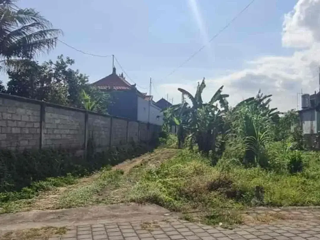 SALE Tanah Kedungu 8,25 Are Zona Kuning Aspek Perumahan - Image 3 of 7