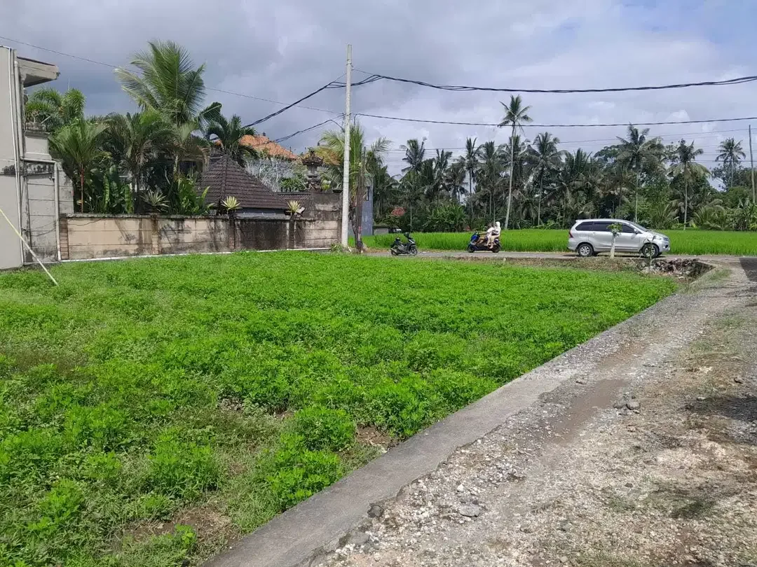 JUAL VILLA BARU UBUD FULLY FURNISHED VIEW SAWAH - Image 10 of 10