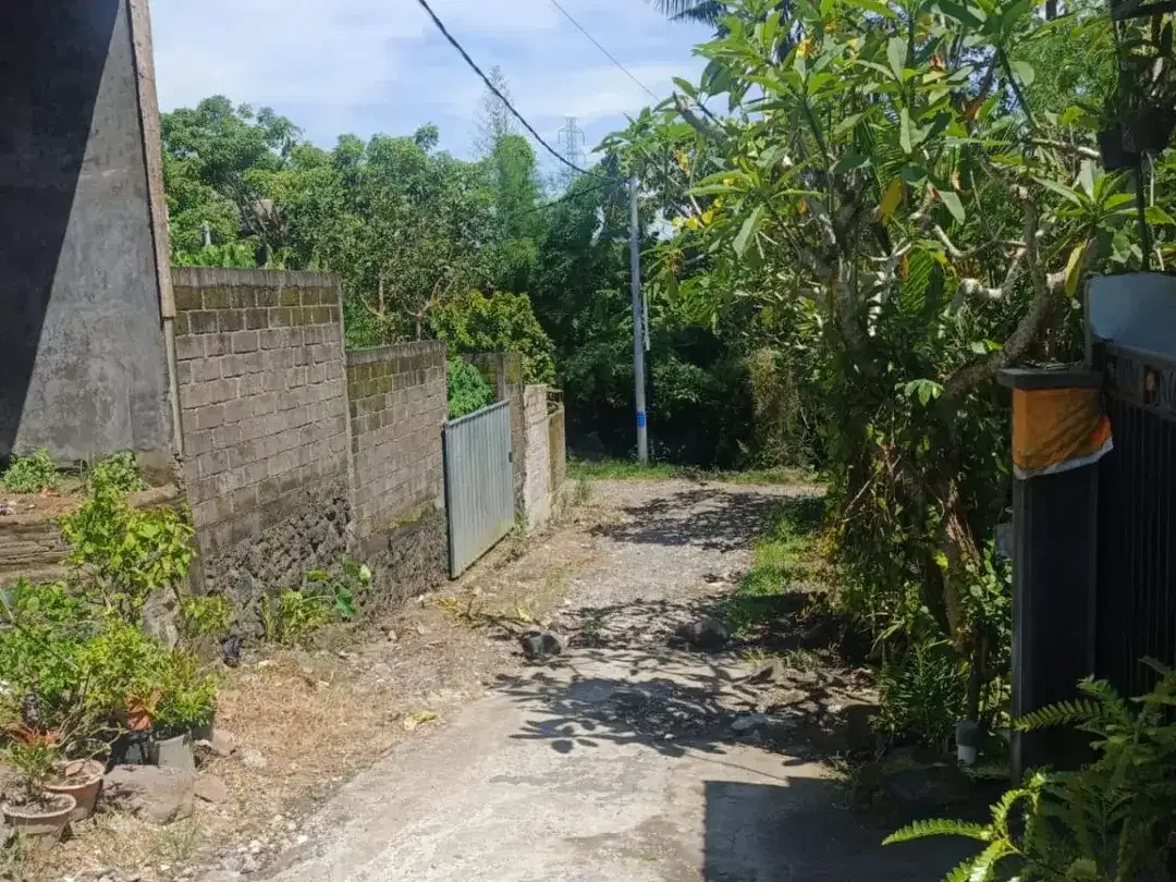 Jual Tanah Bonus Bangunan Villa 40%di Buduk - Image 6 of 6
