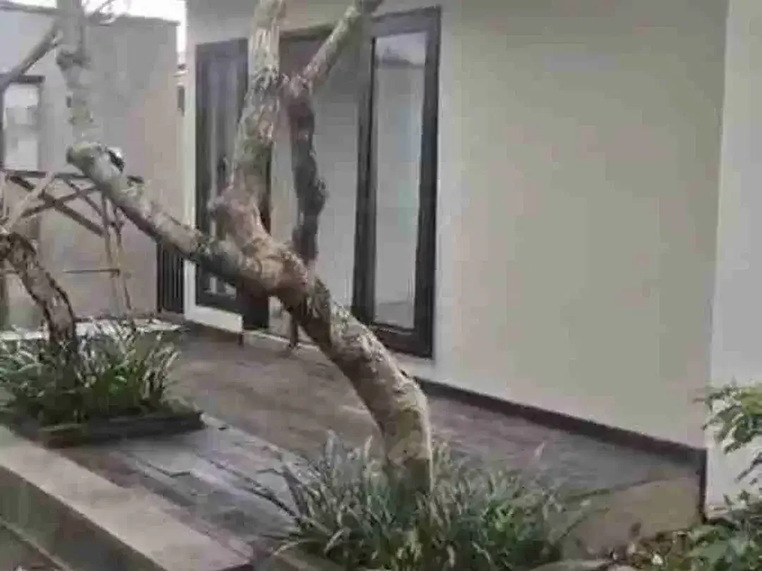 dijual villa 4 bedroom tanpa furniture di Taman Sakura dekat hotel Ayana jimbaran Kuta Selatan Badung Bali - Image 3 of 6