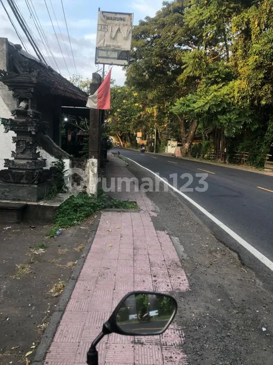 Ruko 350mÂ² Pinggir Jalan Raya Singaraja Lovina Buleleng Bali - Image 4 of 4