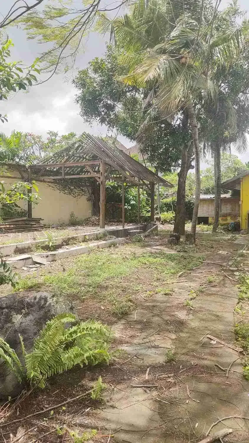 dijual tanah premiun canggu - Image 4 of 7