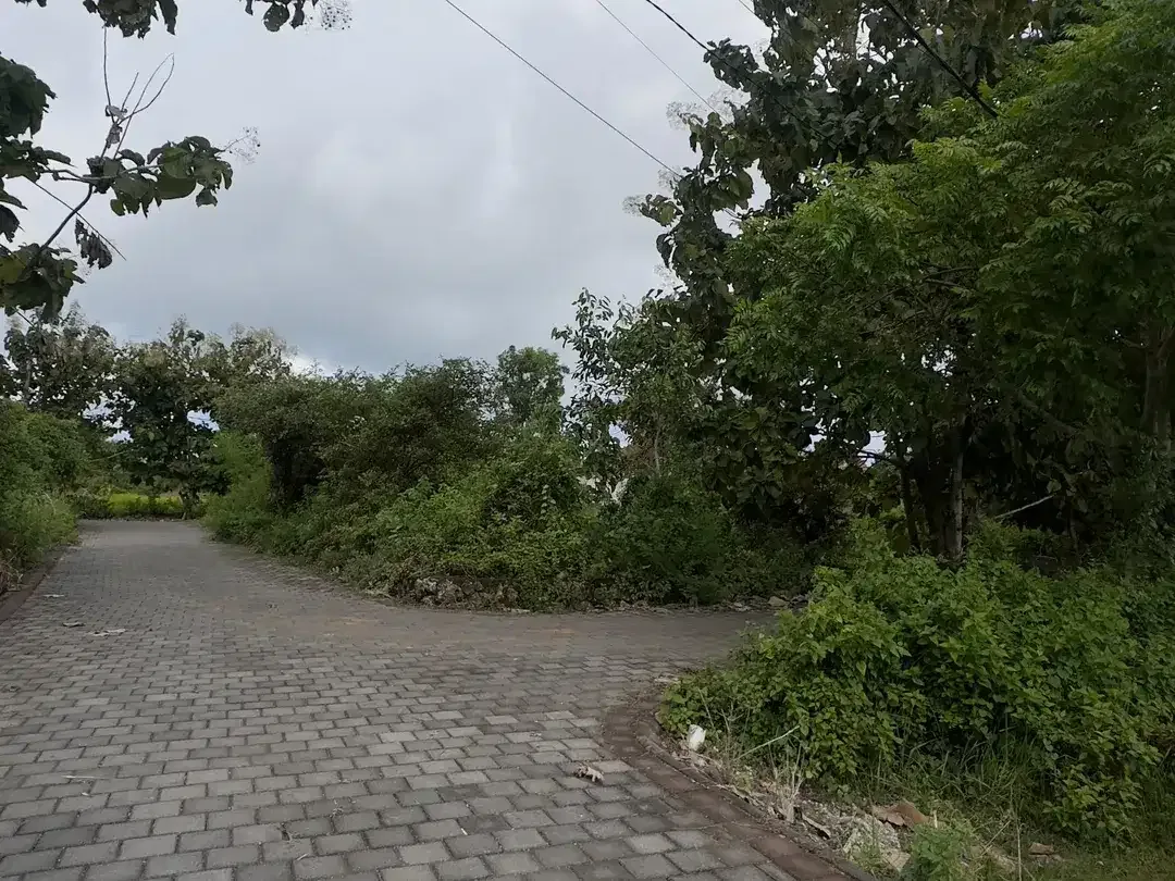 Dijual Tanah 300m2 Posisi Hook Lokasi Gg LoveBird Melangkaja - Image 5 of 8