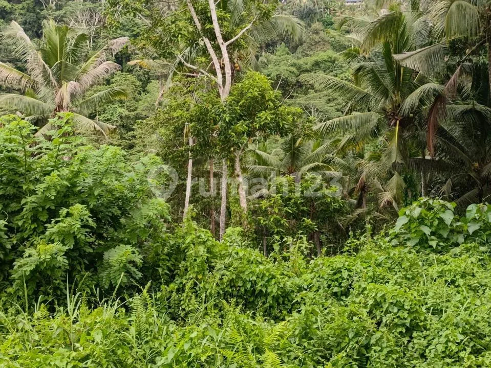 Freehold/Dijual Tanah Los Sungai Wos, - Image 4 of 4