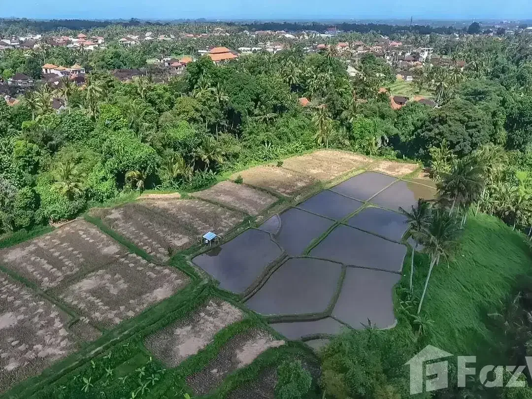 Land for sale in Ubud, Bali - Image 1 of 10