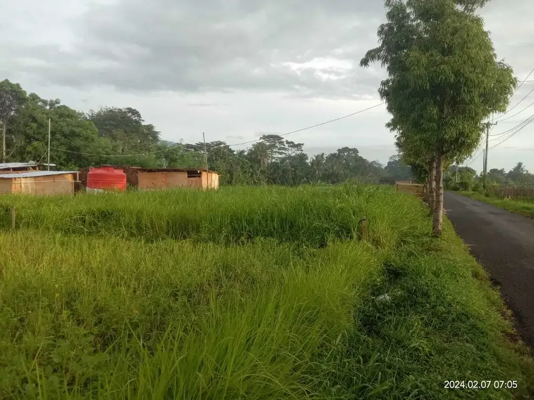 Dijual Tanah View Sawah di Desa Buahan, Tabanan - Image 2 of 3