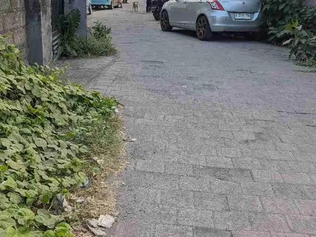 JUAL TANAH GLOBAL JL SEDAP MALAM, SEKITAR 9 menit KE PELABUHAN SANUR - Image 4 of 5