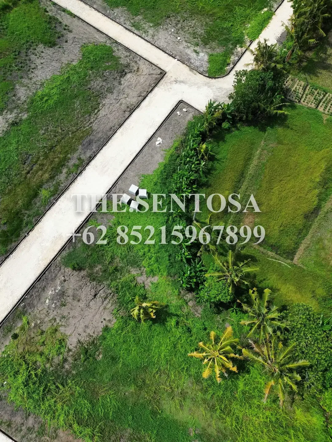 TANAH LUNA BEACH CLUB KEDUNGU - Image 5 of 10