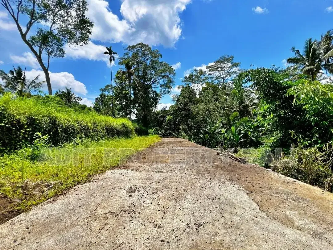 Tanah View Jungle & Sungai Payangan Ubud Gianyar Bali - Image 7 of 10