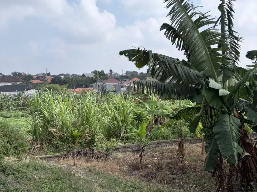 DIJUAL TANAH – PADONAN, DALUNG - Image 2 of 5