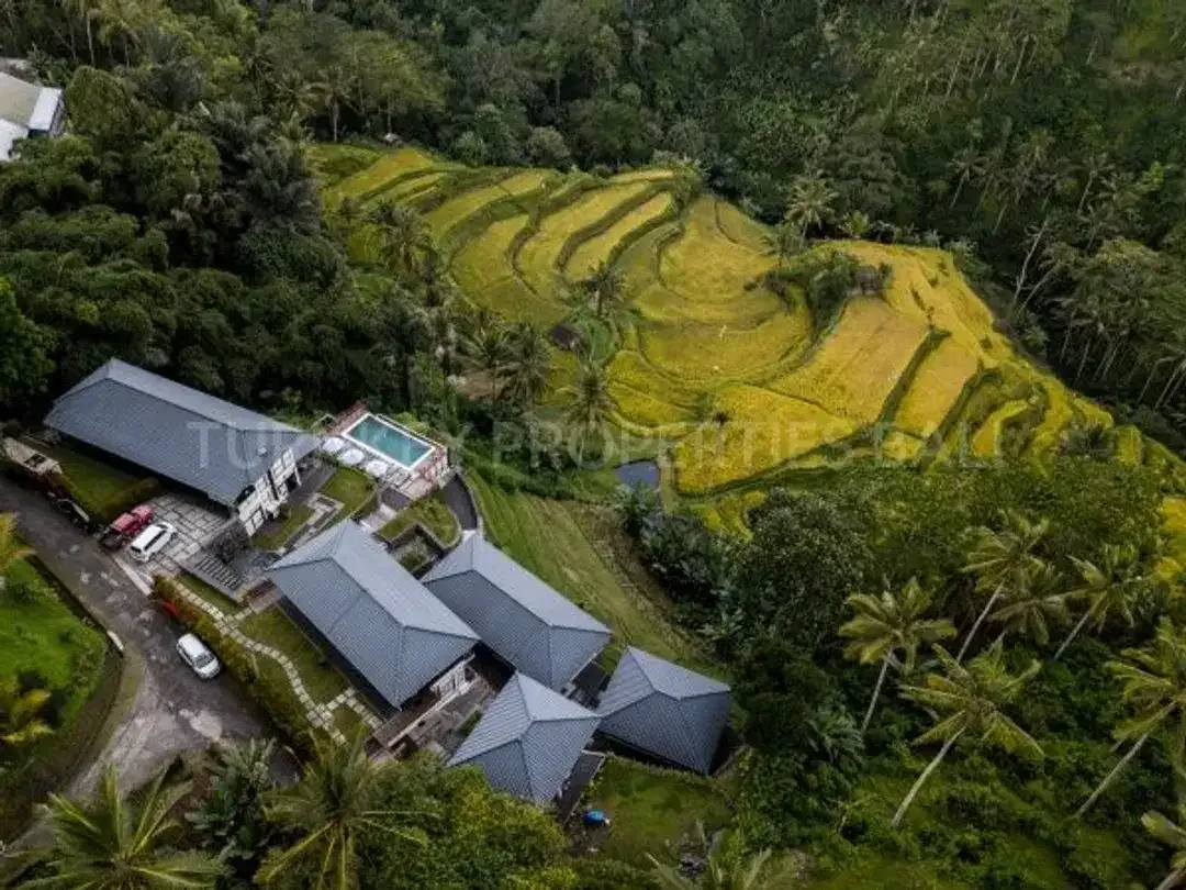 Luxury Boutique Resort & Spa in Ubud - Image 4 of 10