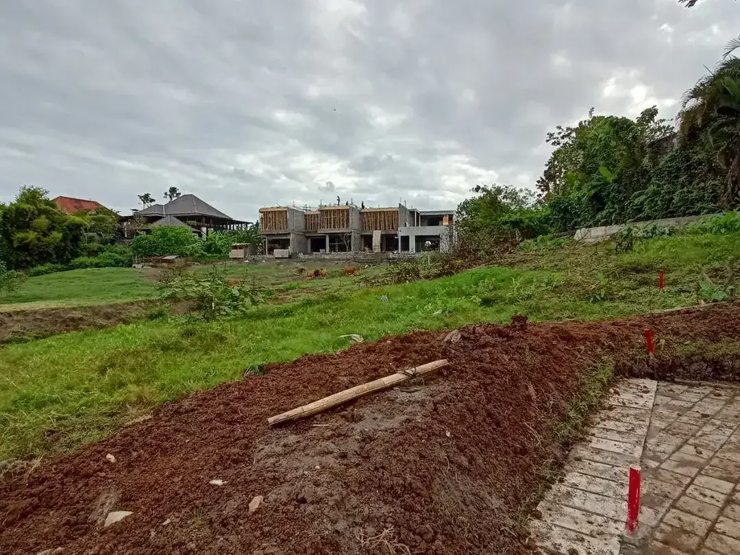 Freehold - Premium Land Available for Sale In Canggu - Image 6 of 7