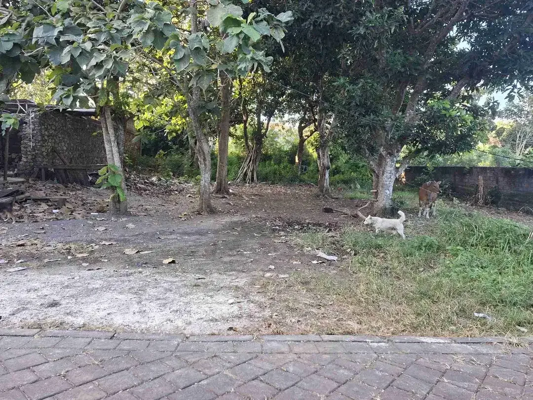 DIJUAL CEPAT TANAH LINGKUNGAN VILLA DI TOYANING UNGASAN - Image 2 of 4