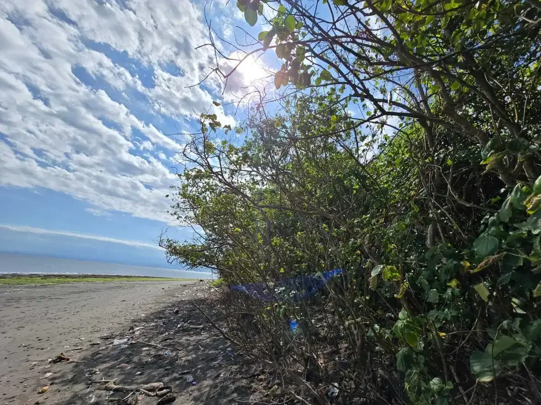 Dijual tanah kecil los pantai di bali - Image 8 of 10