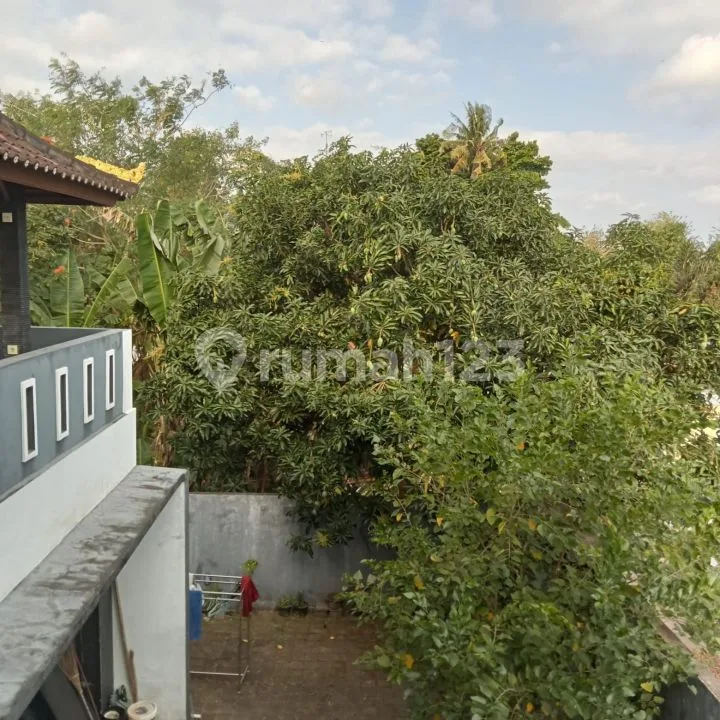 Dikontrakan Rumah 3.5 Are Lantai 3 Buduk - Tumbakbayuh - Image 2 of 4