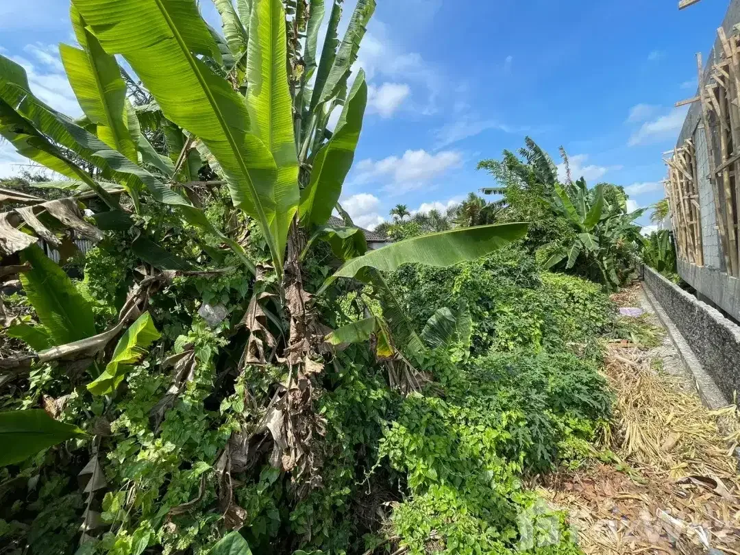 Land for sale in Tumbak Bayuh, Bali - Image 2 of 10