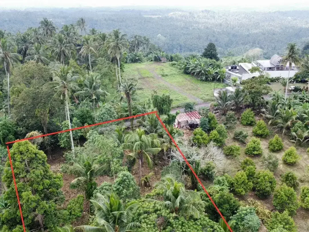 Tanah kebun di Gn Salak Selemadeg Timur Tabanan Dkt Eco Bali Stay Manca Restasurant - Image 2 of 7