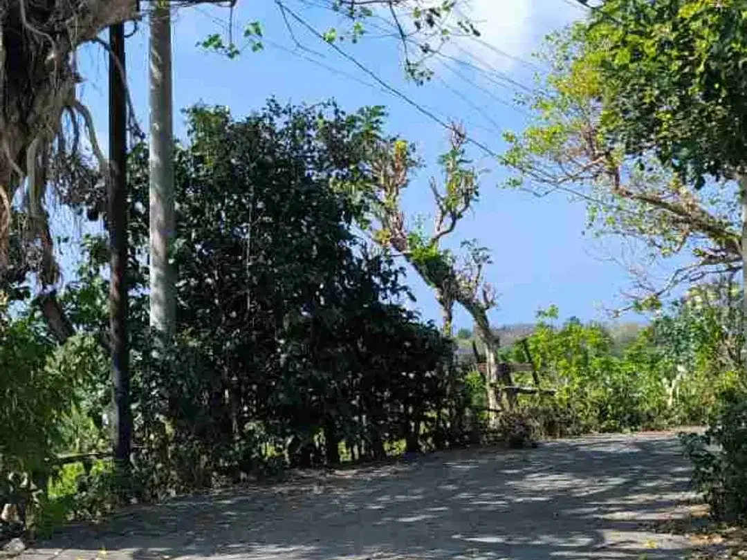 Tanah Murah Ocean View Link Villa Dekat Pantai Melasti Ungasan Bali - Image 10 of 10