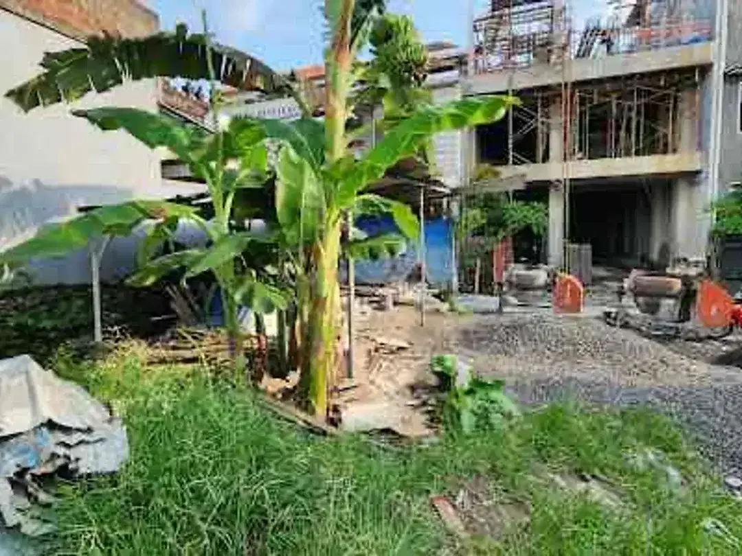 Dijual Rumah Indent Di Daerah Siulan Denpasar - Image 4 of 10
