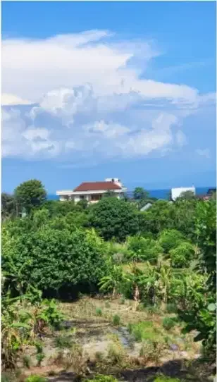 Tanah sewa dekat pantai sanur - Image 2 of 10
