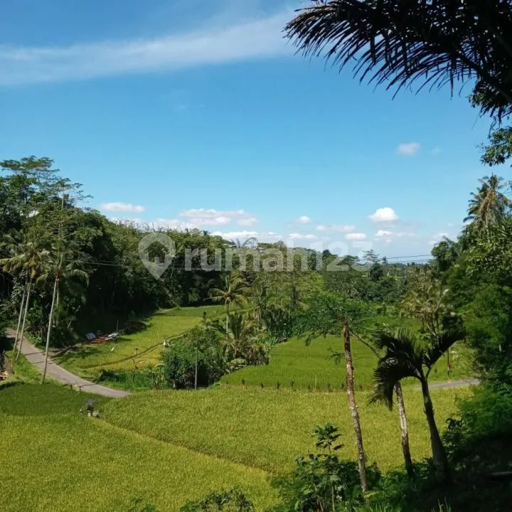 Tanah untuk Villa di Ubud View 360â° Diatas Bukit. - Image 2 of 4