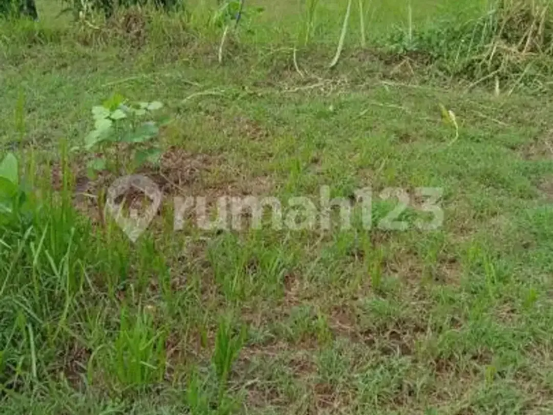 Jarang Ditemukan! Tanah Premium 1.700 M² di Singaraja-Lovina - Image 1 of 8