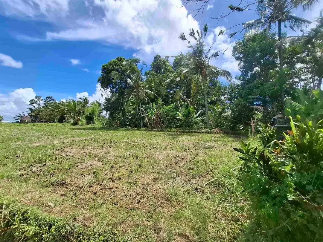 dijual tanah sawah view 5 gunung di bali - Image 8 of 10