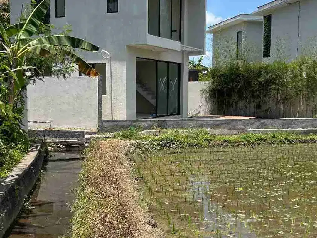 DIJUAL CEPAT TANAH SUPER PREMIUM STRATEGIS LOKASI BERADA DI LOD TUNDUH UBUD GIANYAR BALI. LINGKUNGAN PRIVATE VILLA LAHAN INI SANGAT COCOK DI KAVLING VILLA / DI BUAT KOMPLEKS VILLA / DI BANGUN HOTEL - Image 6 of 10